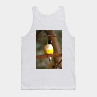 Gouldian Finch Tank Top